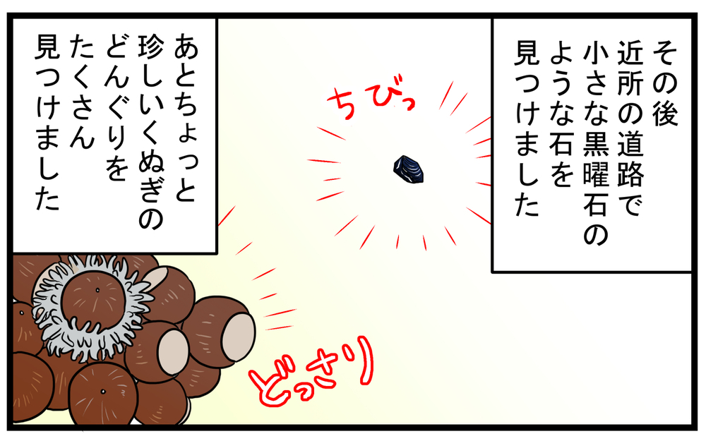 子どもたちが石を探しに出かけて…見つけた「ユニークなもの」とは!?【こどもと見つけた小さな発見日誌 Vol.55】
