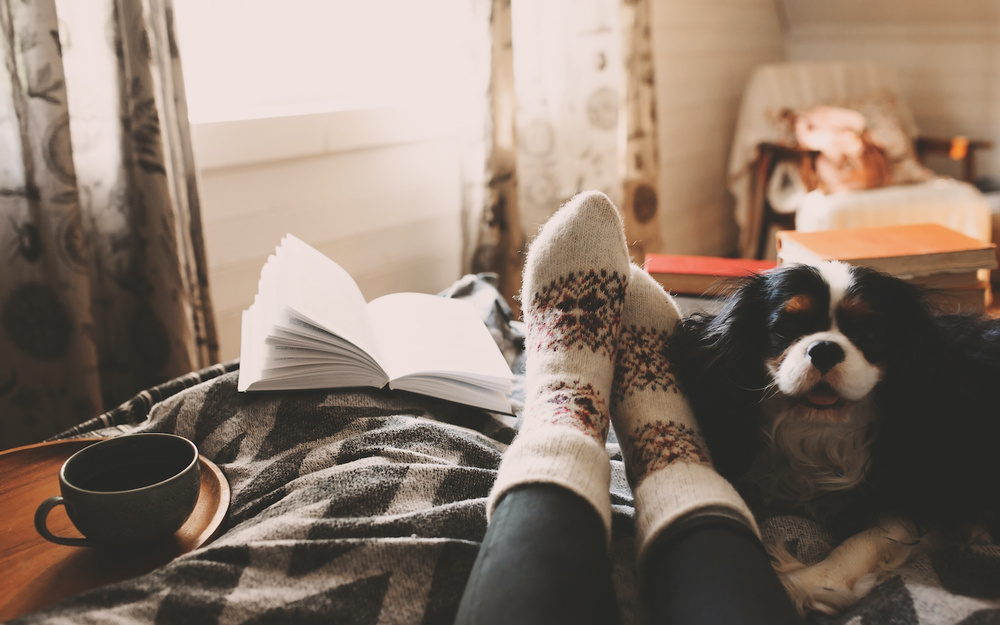 12月12日～12月18日の週間運勢占いランキング！　1位の星座は…？