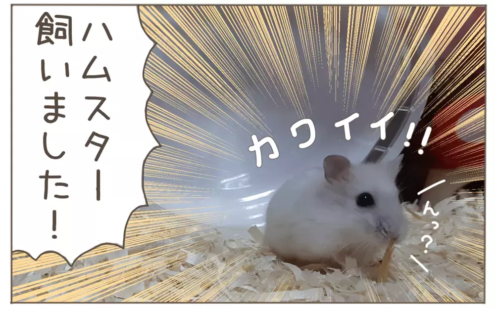 ぬいぐるみが大好きな8歳息子　母の妙な不安とその結末【子育て楽じゃありません 第101話】