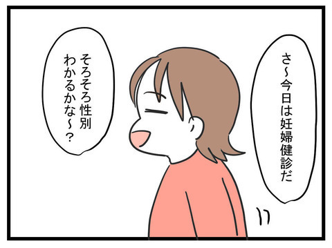 赤ちゃんの性別が判明！浮かれ気分で夫に報告すると予想外の返事が…!?【妊娠したら夫が行方不明になった話 Vol.9】