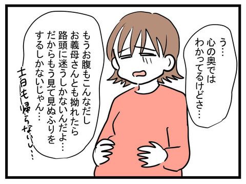 もう見て見ぬふりするしかない…諦めかけていた妻に、解決の糸口が!?【妊娠したら夫が行方不明になった話 Vol.14】