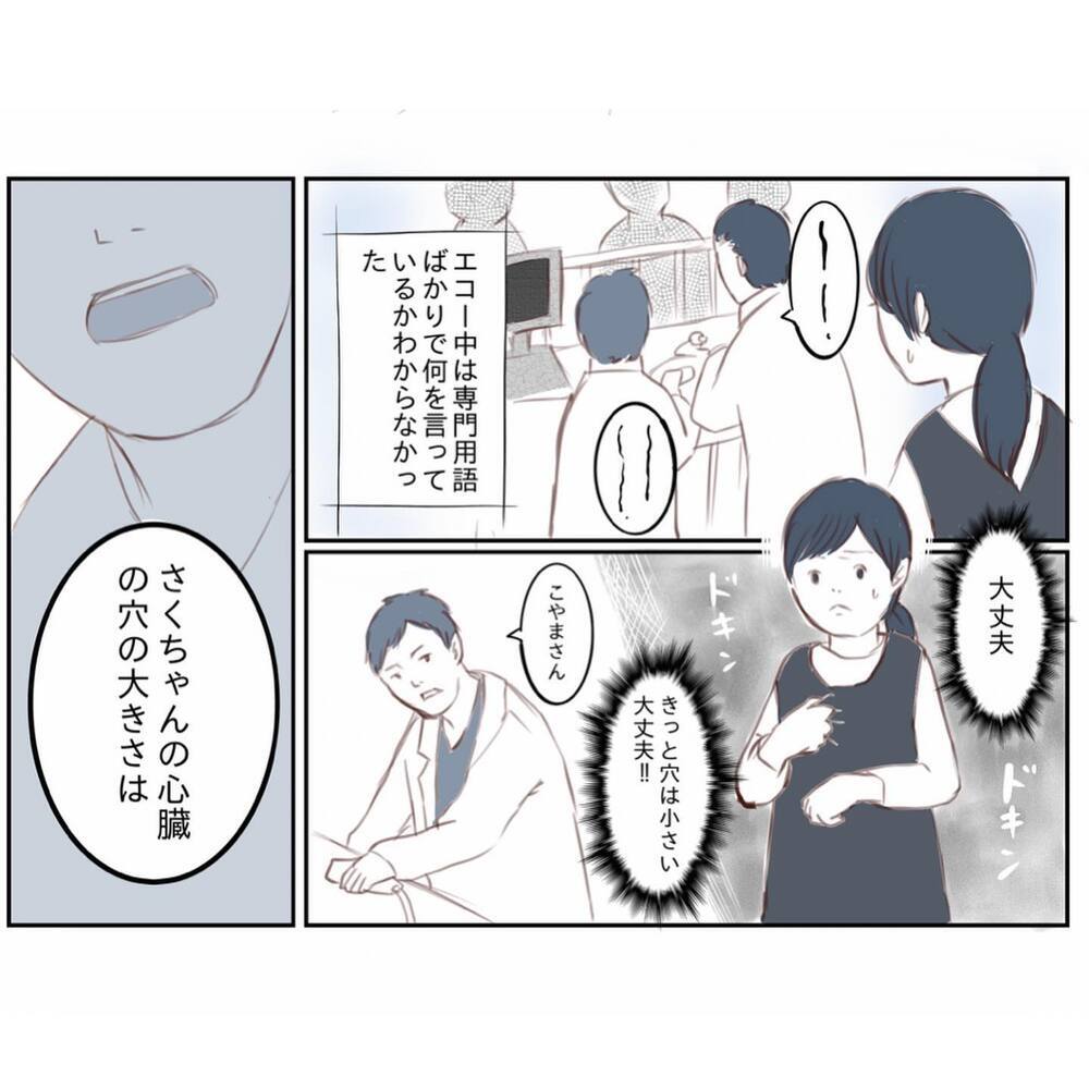 心臓の穴が小さければ手術はいらない？ 娘のエコー検査の結果は…【娘と心疾患のお話 Vol.6】