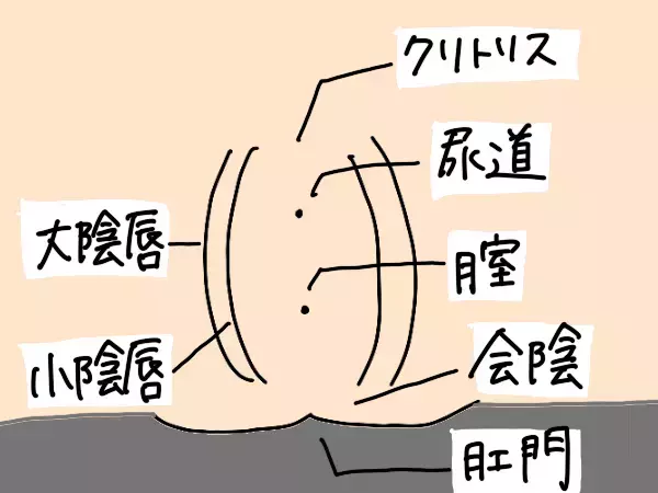 わたしも40代になったんですが！ ピチピチのお肌とハイパー元気でいるために何から始めたらよいでしょうか？【コソダテフルな毎日 第194話】