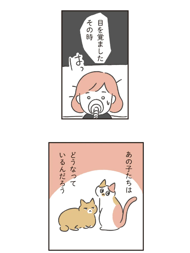 猫も犬も大切な我が子だから。3児のママ、オキエイコさんが手がけた “ペットのための母子手帳"「もしもヘルプ手帳」が話題！