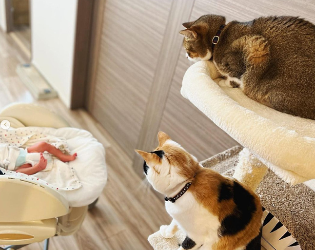 猫も犬も大切な我が子だから。3児のママ、オキエイコさんが手がけた “ペットのための母子手帳"「もしもヘルプ手帳」が話題！