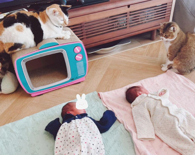 猫も犬も大切な我が子だから。3児のママ、オキエイコさんが手がけた “ペットのための母子手帳"「もしもヘルプ手帳」が話題！