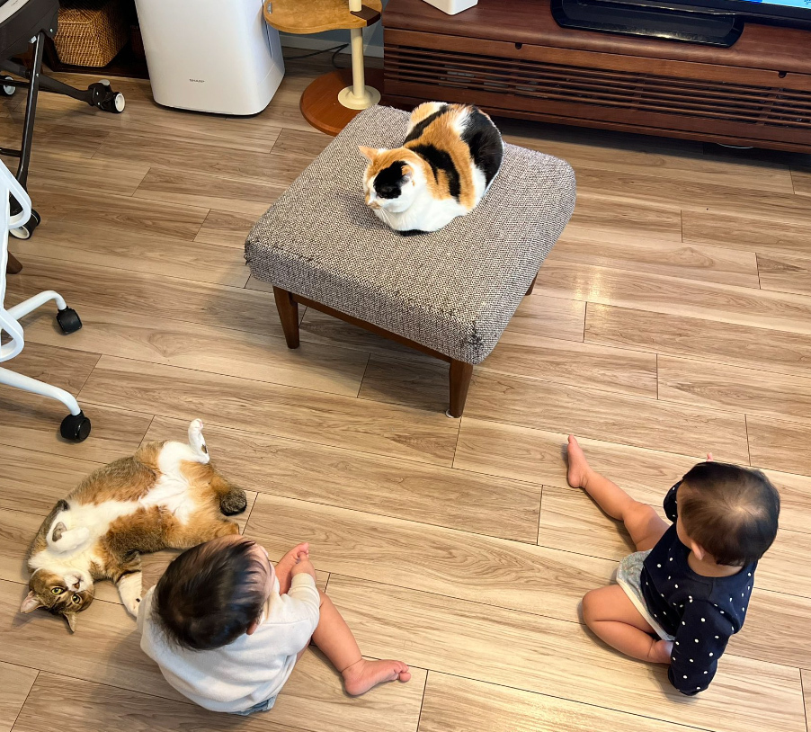 猫も犬も大切な我が子だから。3児のママ、オキエイコさんが手がけた “ペットのための母子手帳"「もしもヘルプ手帳」が話題！