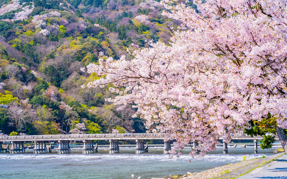 3月27日～4月2日の週間運勢占いランキング！　1位の星座は…？