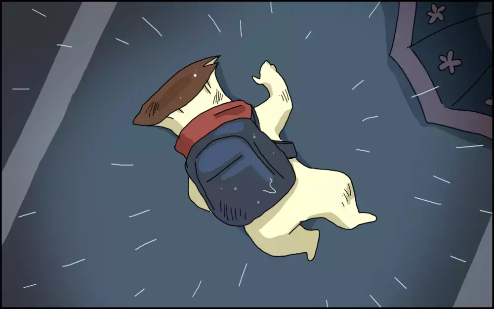 突然ノーブレーキの車が！ 加害者の第一声が酷すぎる…【夫が青信号の横断歩道で車にはねられた話 Vol.2】