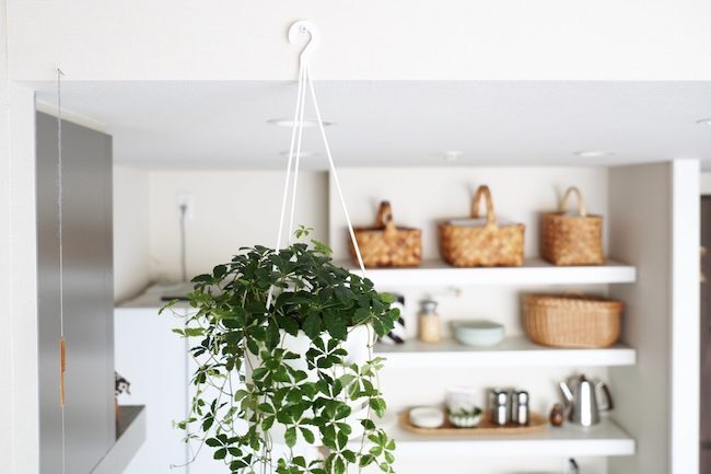 まずは何から始めればいい？ 防災インテリアの対策手順と部屋別のポイント【整理収納アドバイザーMisaさんに教わる防災インテリア術 Vol.2】