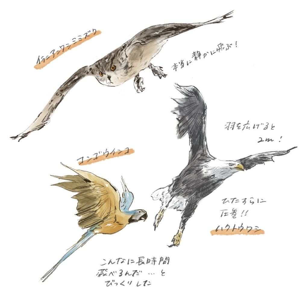 テーマパーク型の動物園「那須どうぶつ王国」へ！　子どもと遊びつくす那須・親子旅（前編）【横峰沙弥香の「まめあるき」 Vol.21】