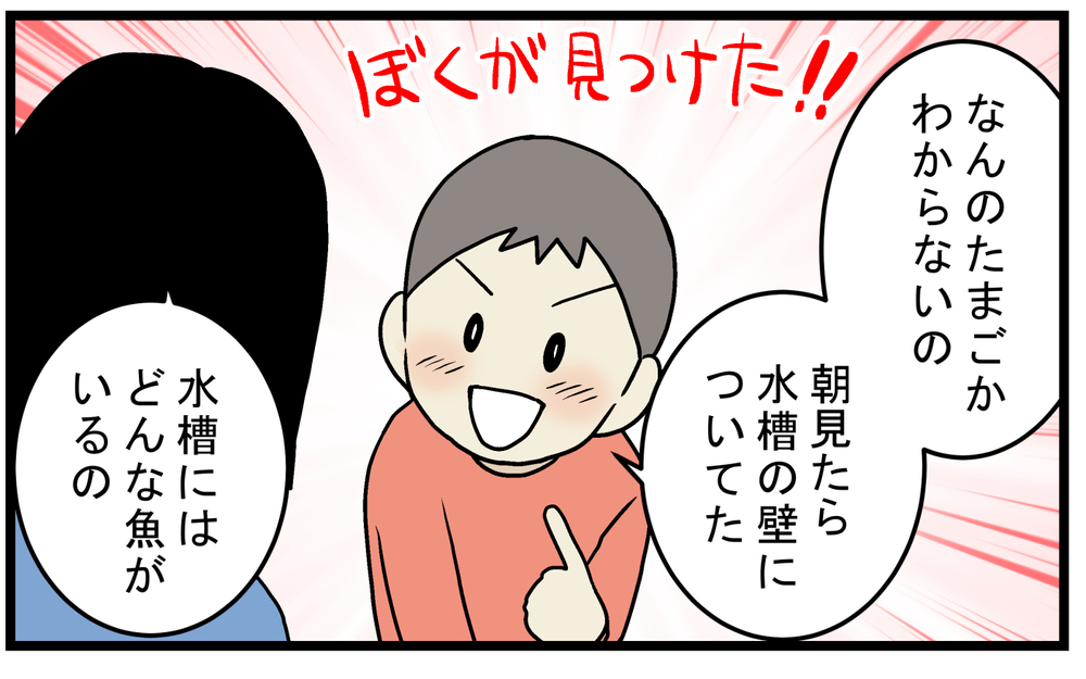 長男が水槽で見つけた「謎のたまご」…孵化するのを楽しみにしていたが!?【こどもと見つけた小さな発見日誌 Vol.61】
