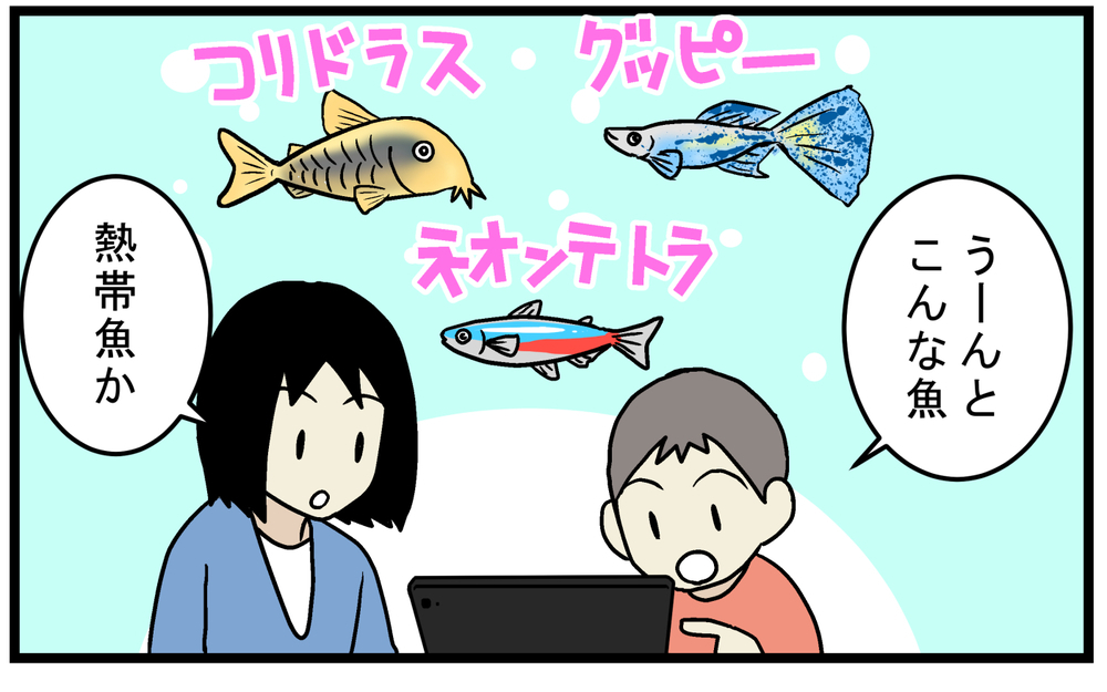 長男が水槽で見つけた「謎のたまご」…孵化するのを楽しみにしていたが!?【こどもと見つけた小さな発見日誌 Vol.61】