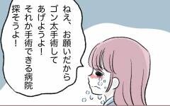 病気になった愛犬を放置する母…ひとりきりの介護が始まった　