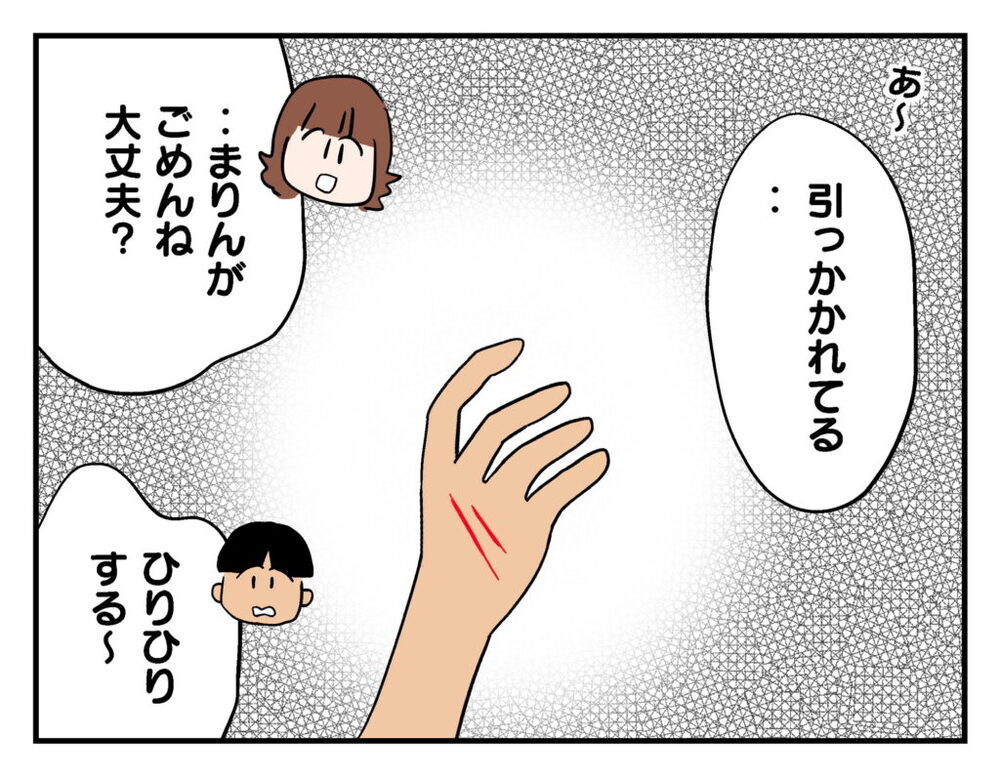 ちゃんと忠告したのに…猫に引っかかれた理由とは？【飼えなくなった猫を連れてきた非常識ママ Vol.3】