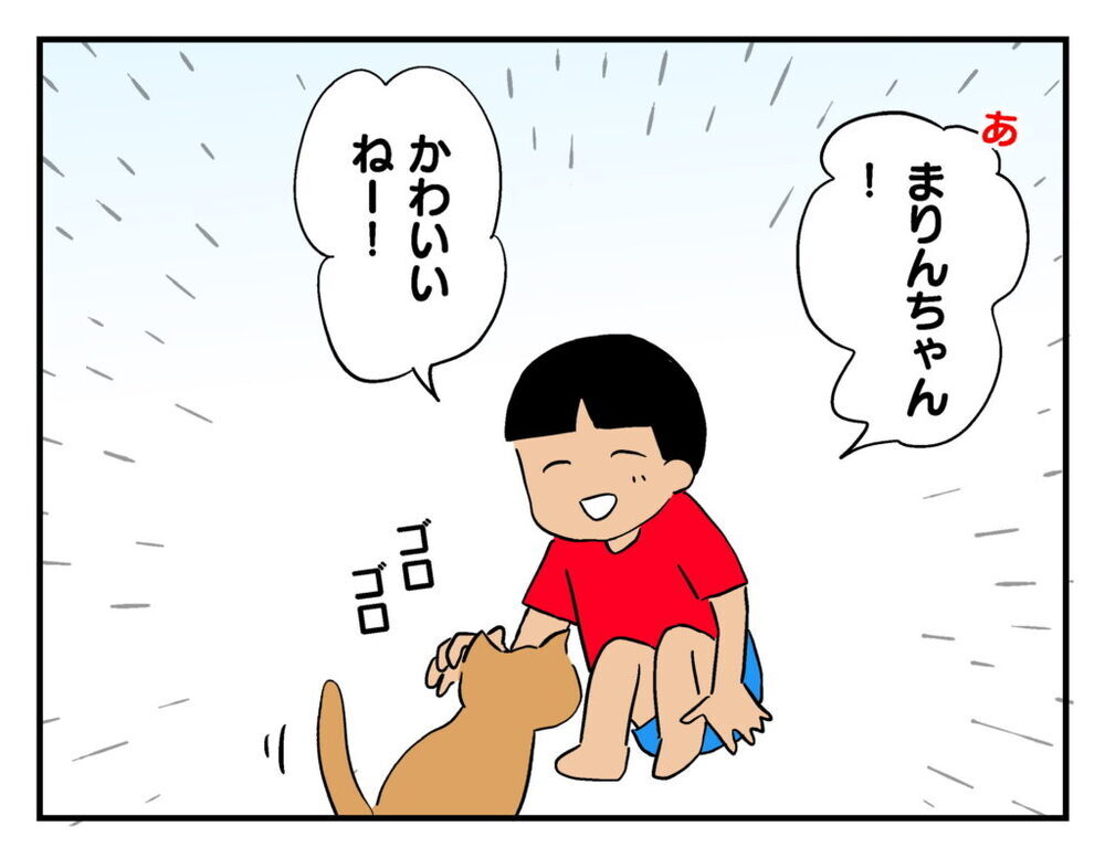 猫を交換して欲しい…!? ありえない言葉に息子が反論！【飼えなくなった猫を連れてきた非常識ママ Vol.10】