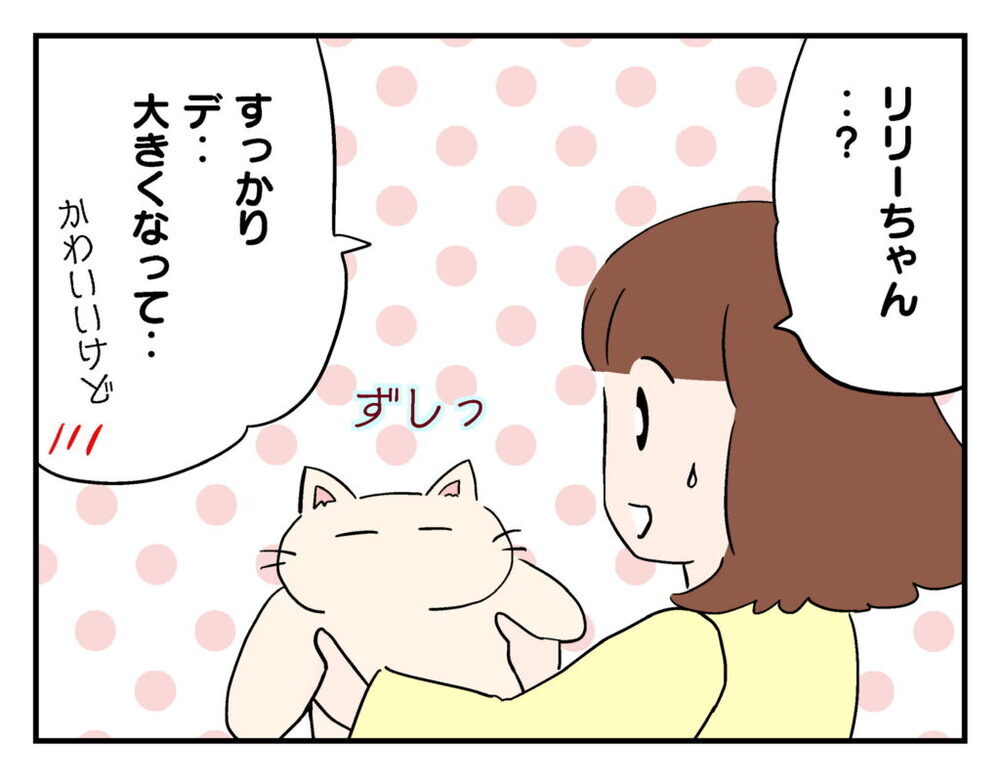 ママ友の連絡先を知らない…猫を一晩預かることに【飼えなくなった猫を連れてきた非常識ママ Vol.13】