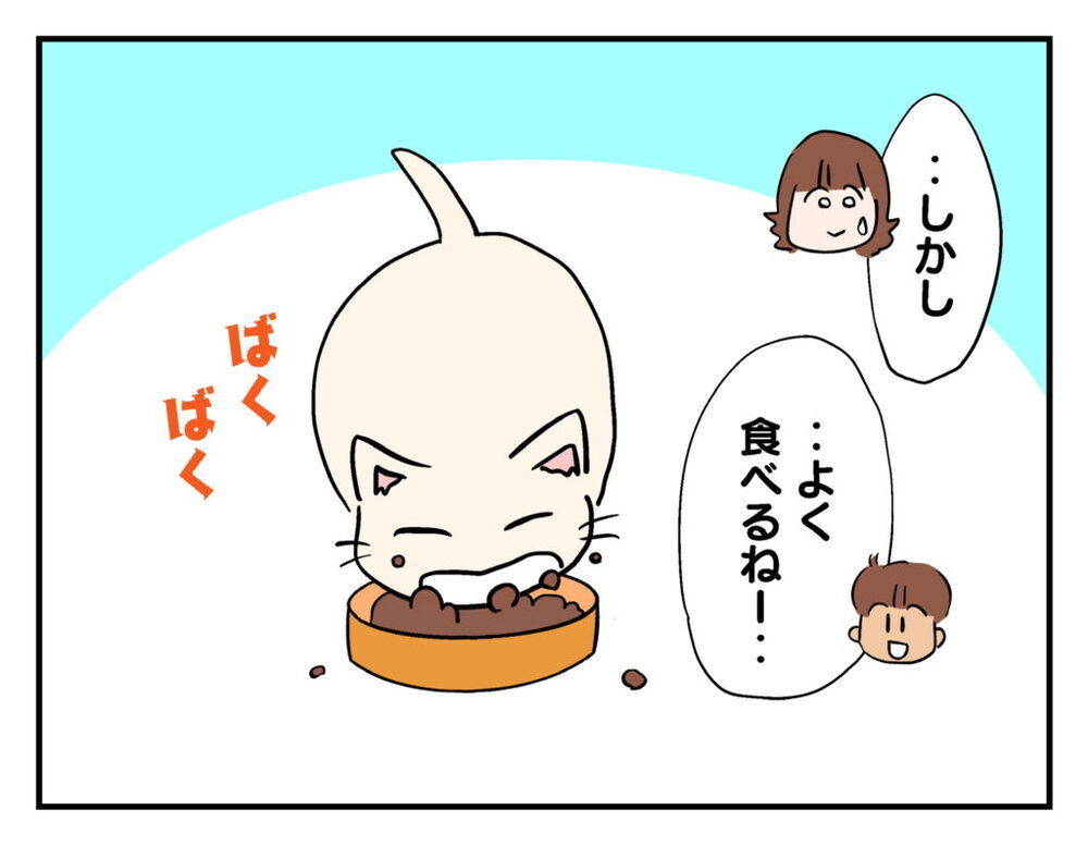 ママ友の連絡先を知らない…猫を一晩預かることに【飼えなくなった猫を連れてきた非常識ママ Vol.13】