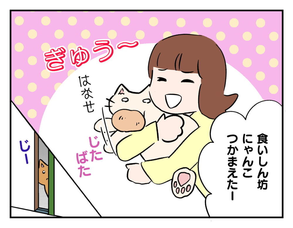 ママ友の連絡先を知らない…猫を一晩預かることに【飼えなくなった猫を連れてきた非常識ママ Vol.13】