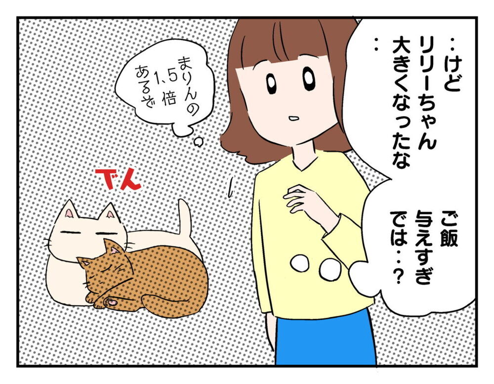 猫と一緒にいられる時間は少ない…子どもたちに伝えたかったこと【飼えなくなった猫を連れてきた非常識ママ Vol.14】