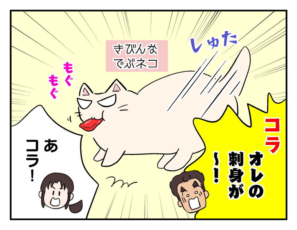 引越し先に猫を連れていけない…困ったママ友が閃いたこととは？【飼えなくなった猫を連れてきた非常識ママ Vol.16】