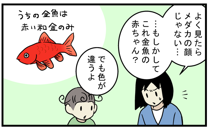 金魚のビオトープにいた、見覚えのない「メダカ」の正体とは!?【こどもと見つけた小さな発見日誌 Vol.62】