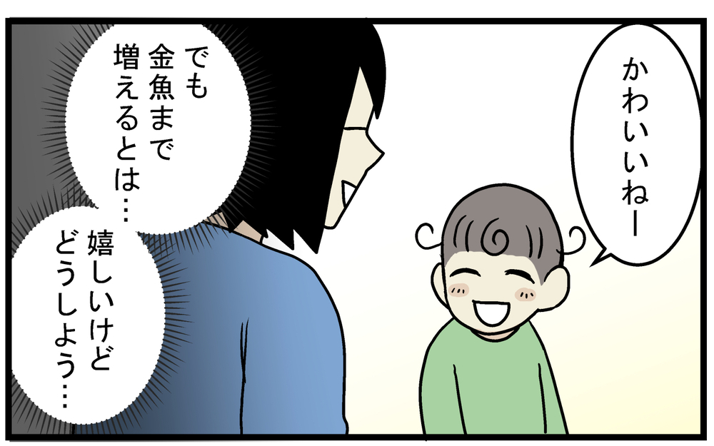 金魚のビオトープにいた、見覚えのない「メダカ」の正体とは!?【こどもと見つけた小さな発見日誌 Vol.62】