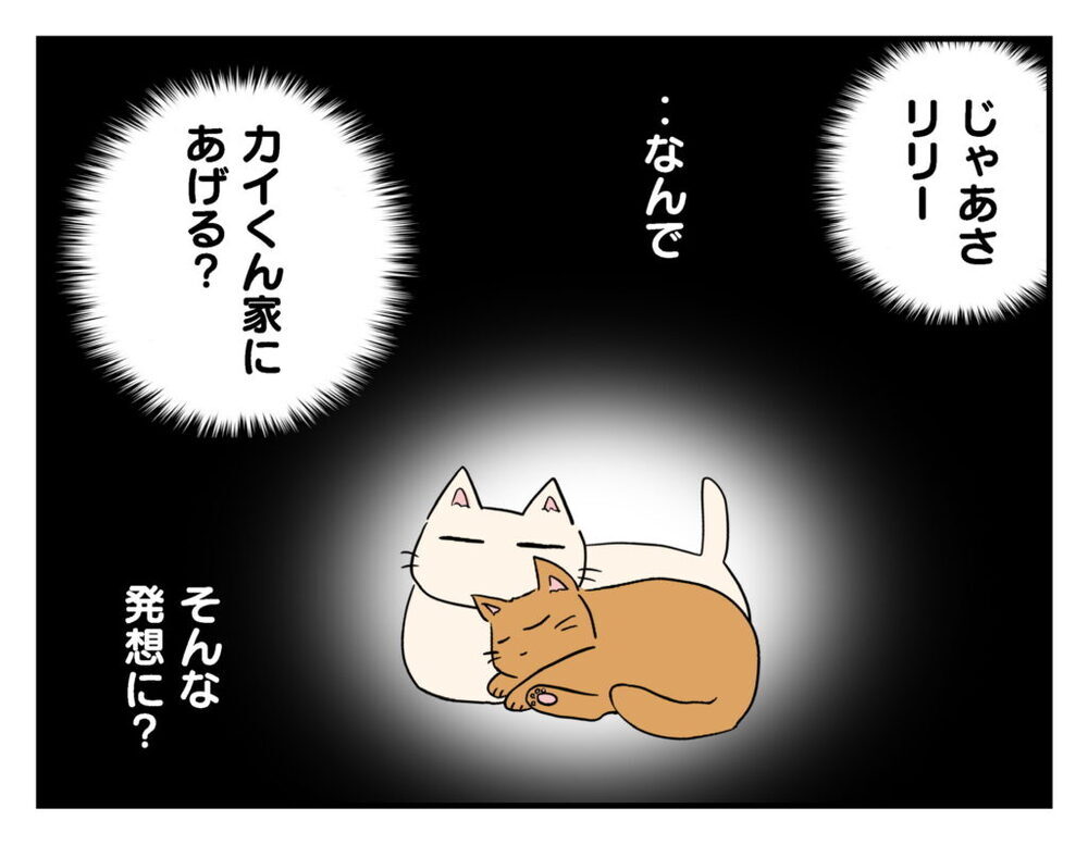 「猫もらってくれる？」ママ友の無責任発言に絶句！【飼えなくなった猫を連れてきた非常識ママ Vol.17】