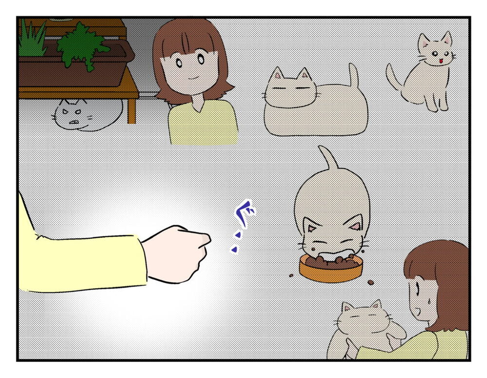 もらって欲しいのは猫のことを考えたからこそ…？ ママ友の呆れた言い分とは【飼えなくなった猫を連れてきた非常識ママ Vol.18】