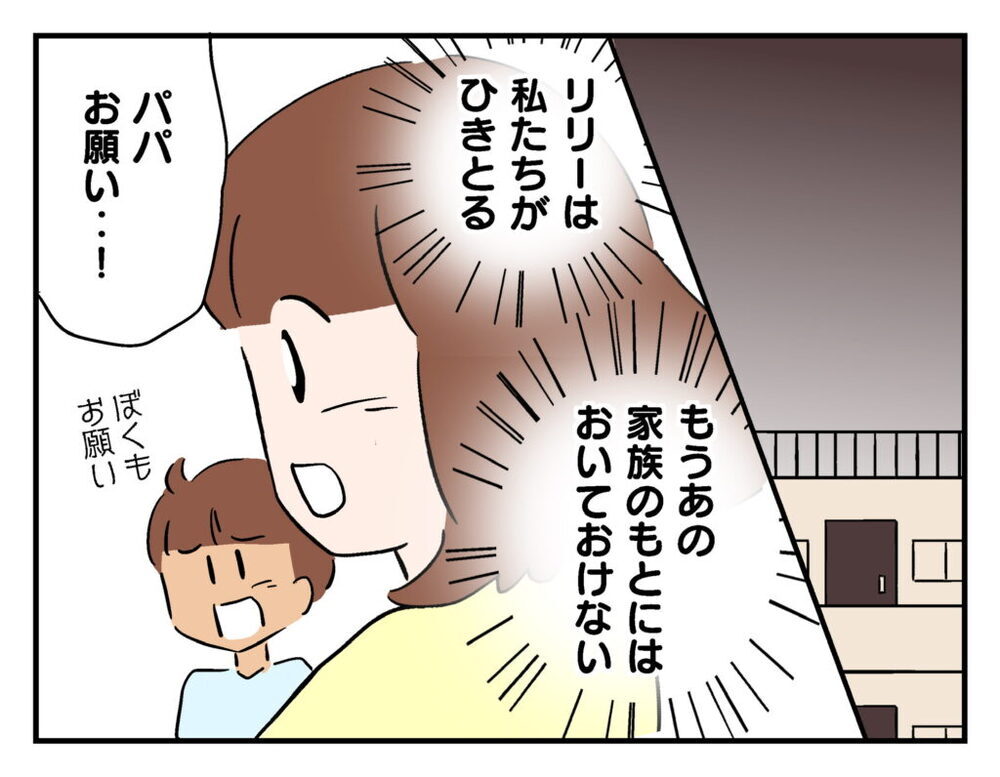 もうママ友のもとに猫は置いておけない！ 夫に直談判すると…【飼えなくなった猫を連れてきた非常識ママ Vol.19】