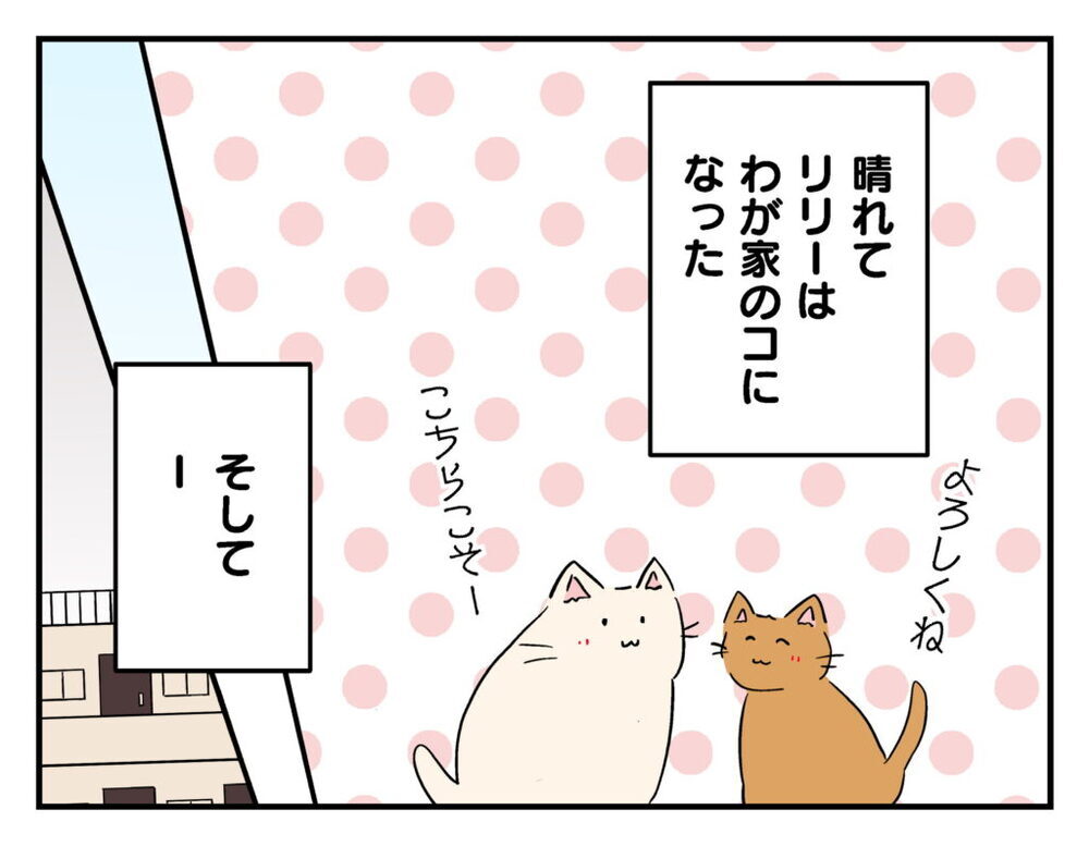 「リリーごめんね」泣いて謝る子どもたち…それを見たママ友の反応は？【飼えなくなった猫を連れてきた非常識ママ Vol.23】