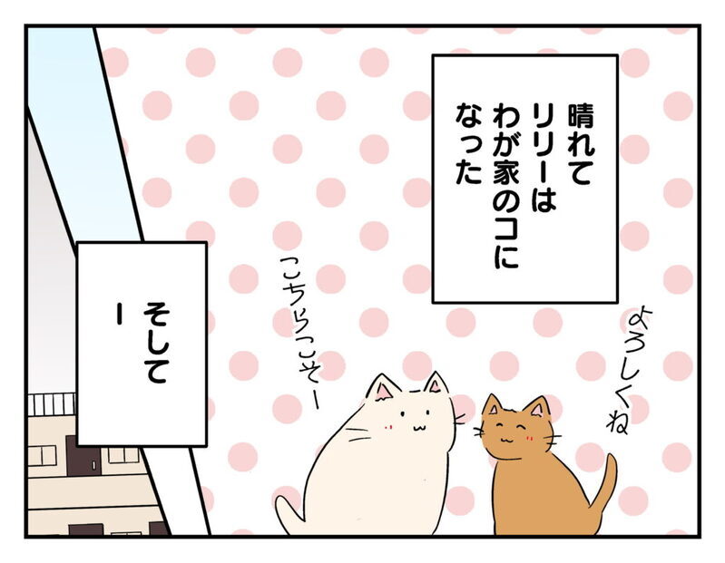 「リリーごめんね」泣いて謝る子どもたち…それを見たママ友の反応は？【飼えなくなった猫を連れてきた非常識ママ Vol.23】