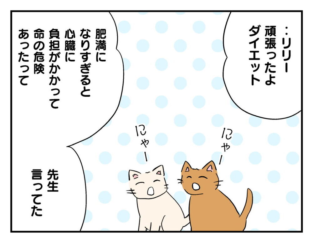 「生き物飼う資格ないわね…」ママ友が自分の無責任さを自覚した出来事とは？【飼えなくなった猫を連れてきた非常識ママ Vol.25】