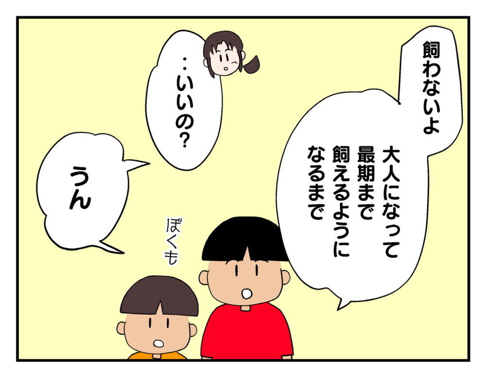 「生き物飼う資格ないわね…」ママ友が自分の無責任さを自覚した出来事とは？【飼えなくなった猫を連れてきた非常識ママ Vol.25】