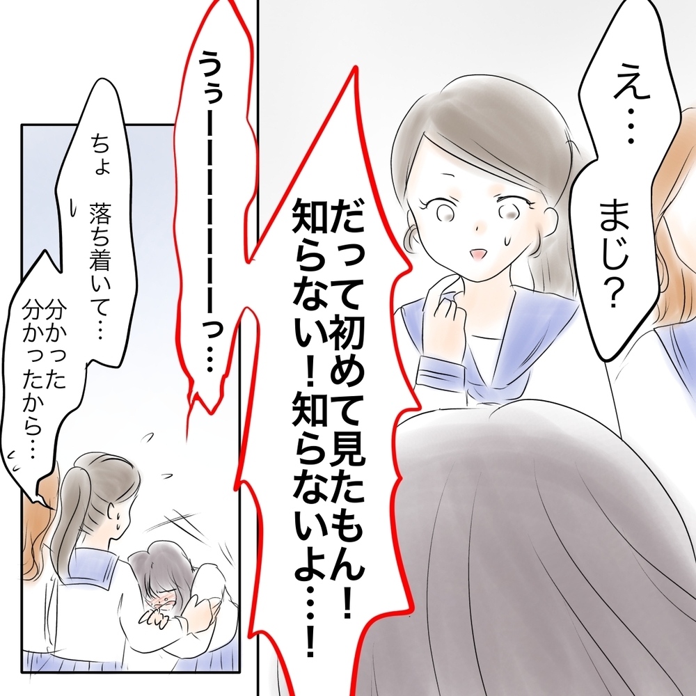 「これ私じゃない！」誤解を解こうとしたら、ある人に止められた？【娘がSNSなりすましされました Vol.14】