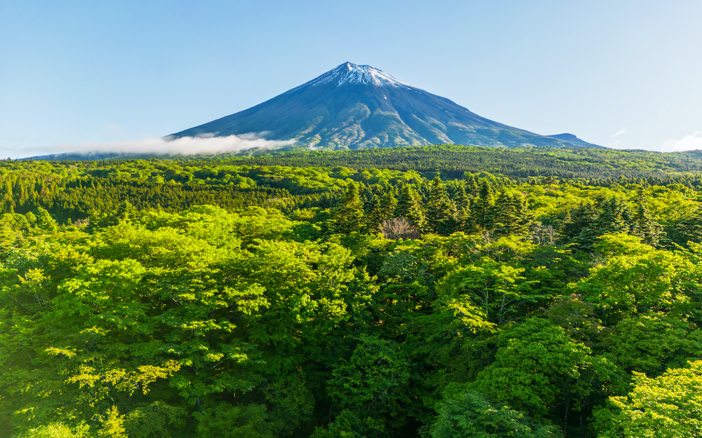 7月17日～7月23日の週間運勢占いランキング！　1位の星座は…？