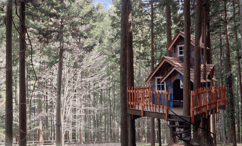 大自然で遊びつくそう！ アクティビティたっぷりの泊まれる冒険フィールド「ミューの森」オープン！【編集部の「これ、気になる！」  Vol.4】