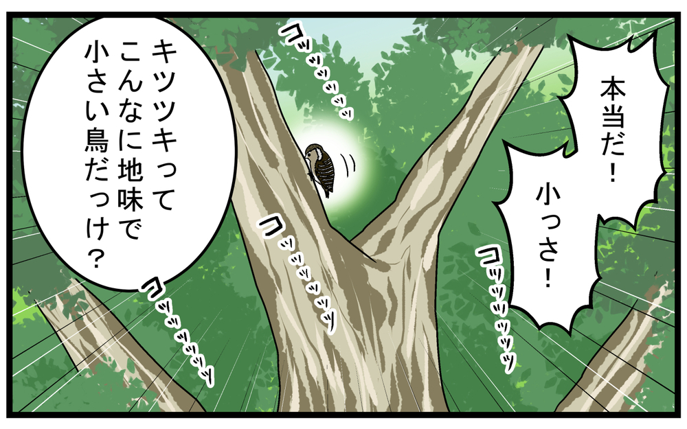 子どもが発見！ 神社に響く「謎の音」の発生源【こどもと見つけた小さな発見日誌 Vol.63】