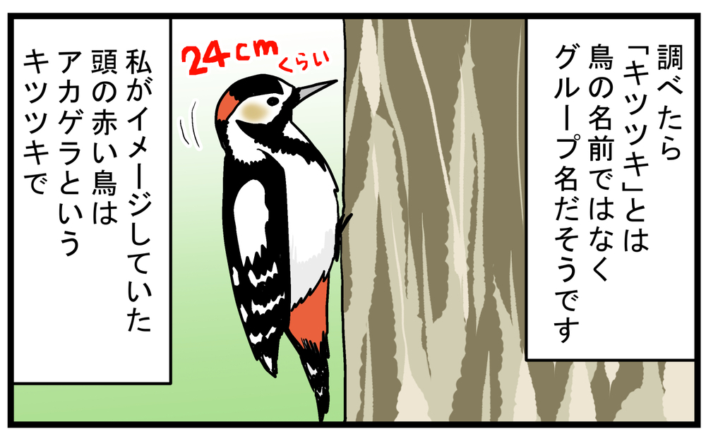 子どもが発見！ 神社に響く「謎の音」の発生源【こどもと見つけた小さな発見日誌 Vol.63】