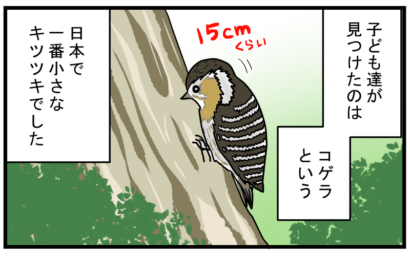 子どもが発見！ 神社に響く「謎の音」の発生源【こどもと見つけた小さな発見日誌 Vol.63】