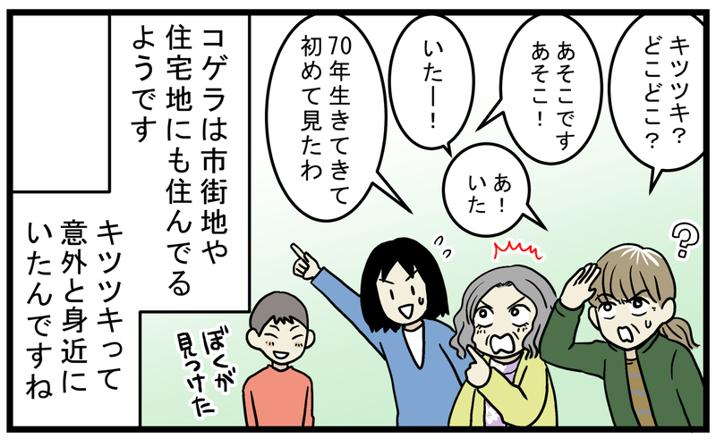 子どもが発見！ 神社に響く「謎の音」の発生源【こどもと見つけた小さな発見日誌 Vol.63】