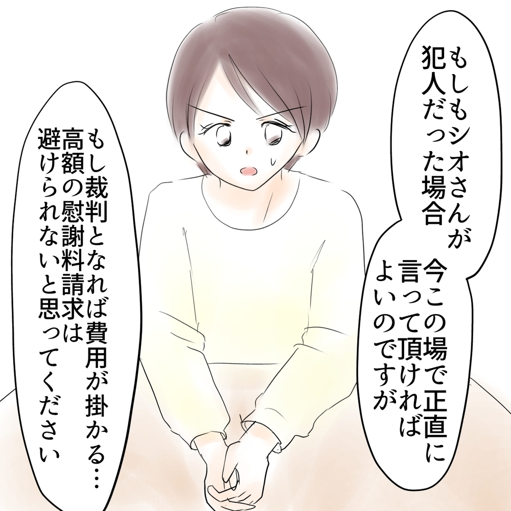 「あなたは本当にやっていませんか？」最後の問いにシオはどう答える？【娘がSNSなりすましされました Vol.45】