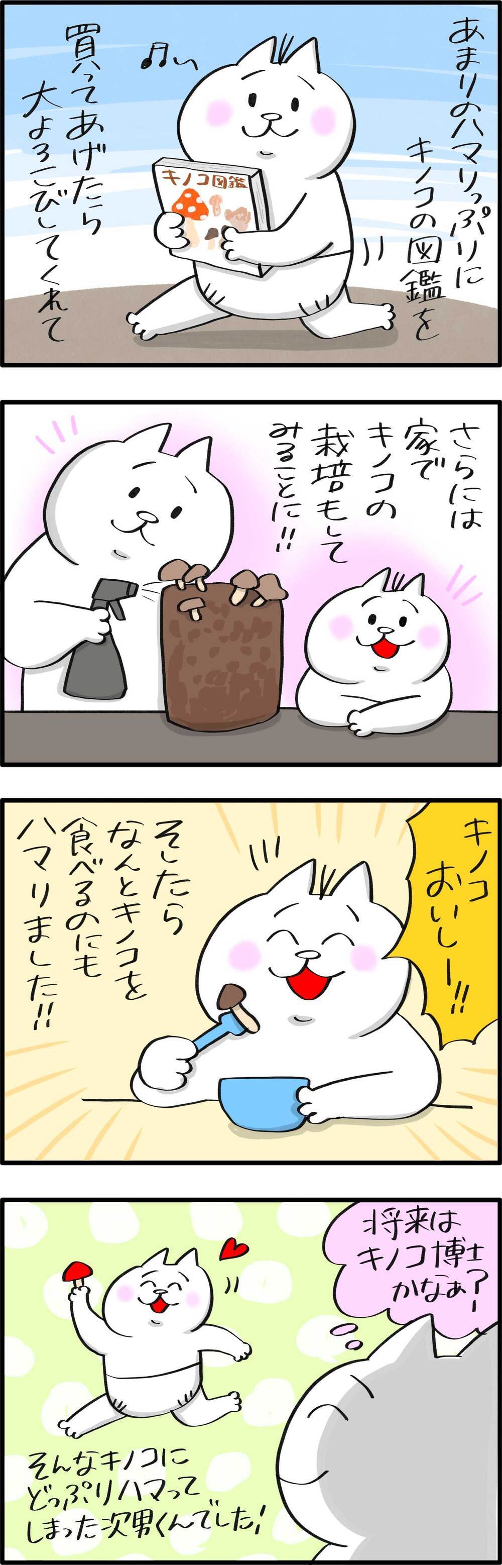 将来は博士!?　次男がハマった意外なものは…【PUKUTY(プクティ)只今育児奮闘中！ 第76話】