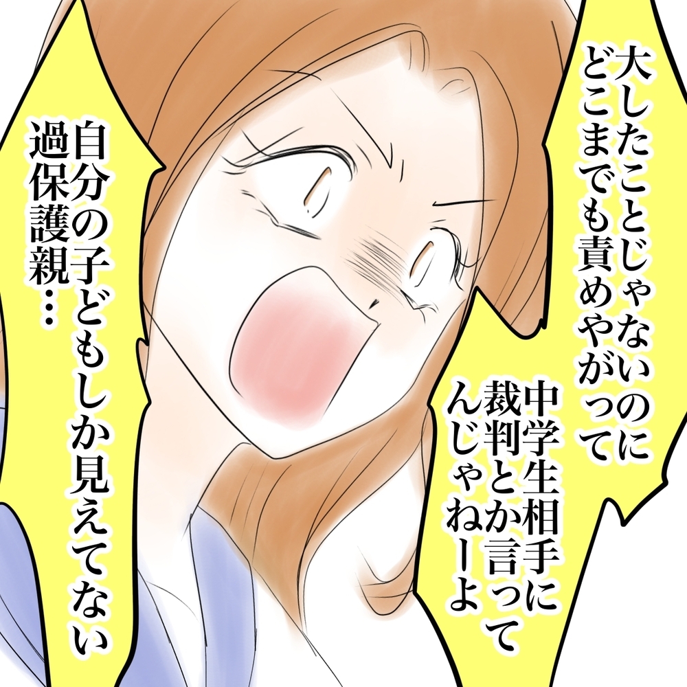 「最高に気持ち悪い母親だな！」シオの逆ギレに反論したのは…？【娘がSNSなりすましされました Vol.49】