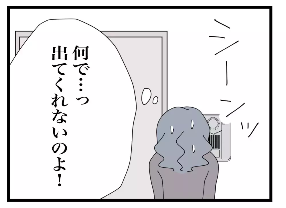お嫁さんが心配なだけなのに…諦めきれない義母の異常な行動【私の家に入らないで Vol.24】
