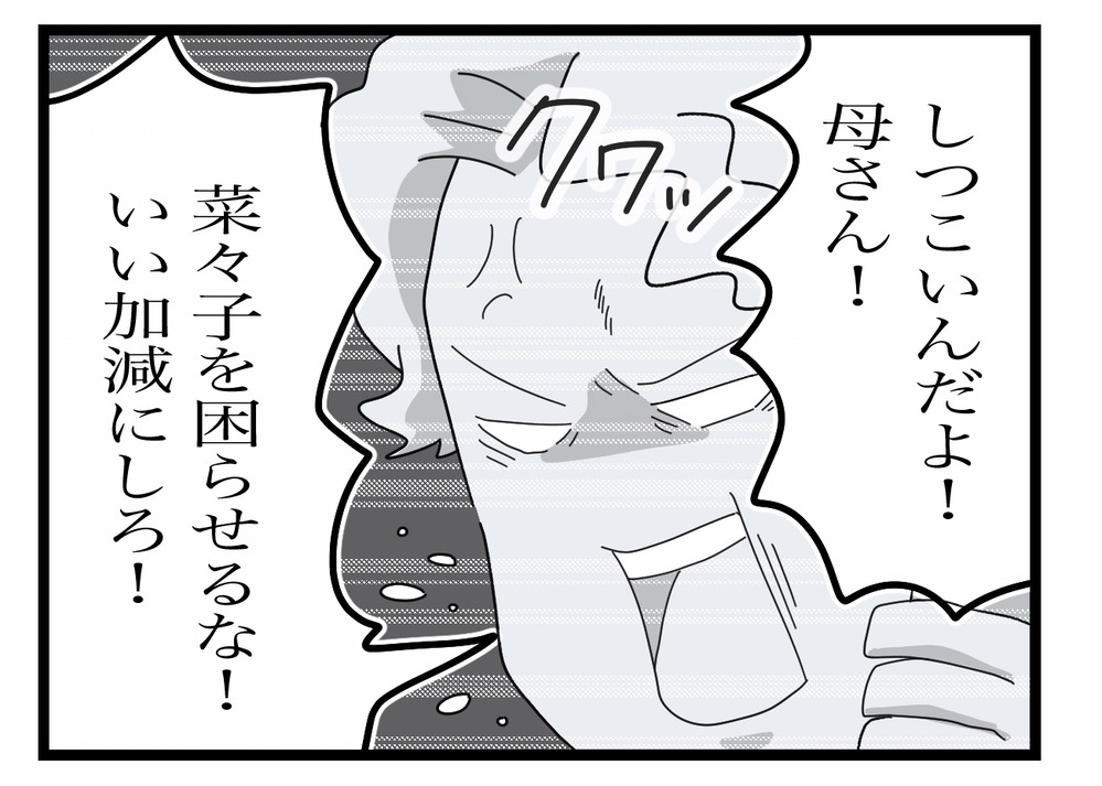 「自分の母を必ず説得する、だから…」夫が妻の母にお願いしたこととは？【私の家に入らないで Vol.39】