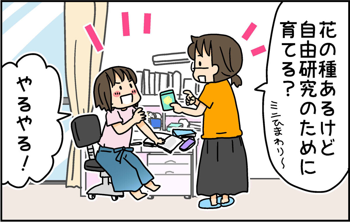 自由研究のためミニひまわりを育て始めた次女　思わぬ事態発生に…！【4人の子ども育ててます 第135話】