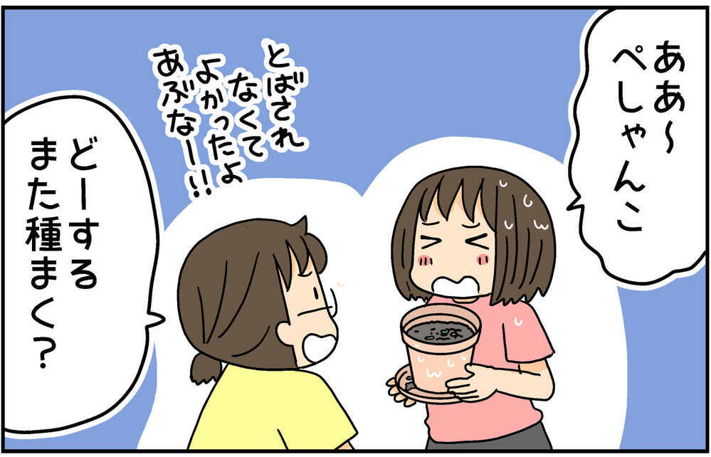 自由研究のためミニひまわりを育て始めた次女　思わぬ事態発生に…！【4人の子ども育ててます 第135話】