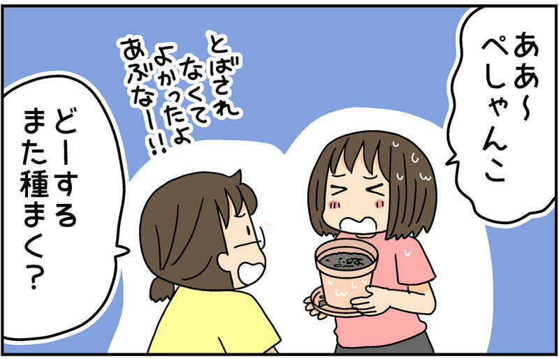 自由研究のためミニひまわりを育て始めた次女　思わぬ事態発生に…！【4人の子ども育ててます 第135話】