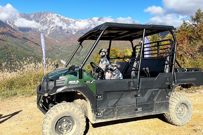 ハイジ気分を味わえる山頂ブランコで人気！「白馬岩岳マウンテンリゾート」で子ども＆愛犬と思い出作り！【編集部の「これ、気になる！」  Vol.6】